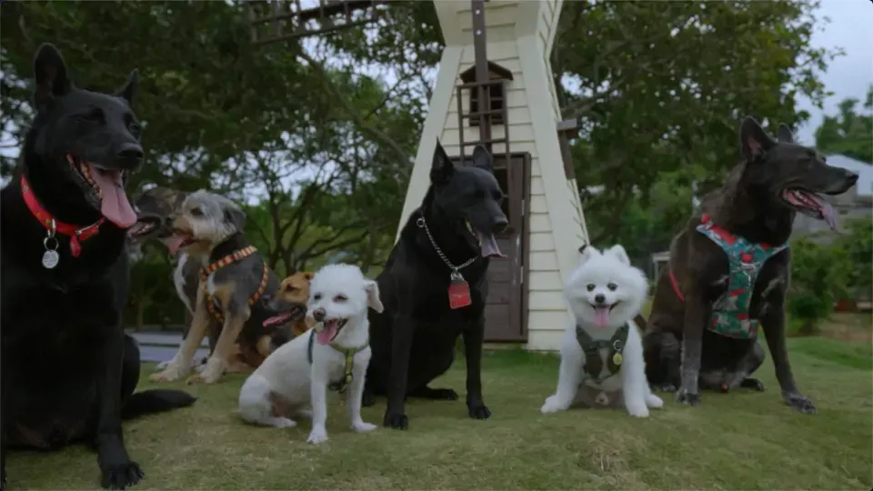 Pup Nation: The Kindergarten Ep3