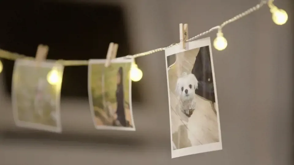 Pup Nation: The Last Mile Ep5